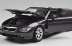 Brown 1:18 Scale Welly Diecast BMW 645CI Model