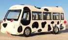Kids White-Black Pull-Back Function Dog Diecast School Bus Toy