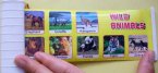 Kids Classical Yellow U.S School Bus with Wild Animals Picture
