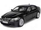 Gray / Black 1:18 Scale Diecast BMW M5 Coupe Model