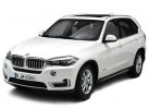 Deep Blue / White Paragon 1:18 Scale Diecast BMW X5 Model