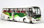 Green-White 1:42 Scale Diecast MAN Lions Star Coach Bus Model