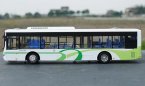 NO.117 White 1:43 Scale Diecast Yutong E12 City Bus Model