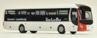 White 1:87 Scale Rietze Man Lions Regio Bus Model