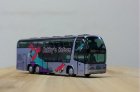 Purple 1:87 Scale Neoplan Skyliner Robbys Reisen Tour Bus Model