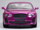 Purple /White / Gray 1:24 Scale Bentley Continental Super Sports